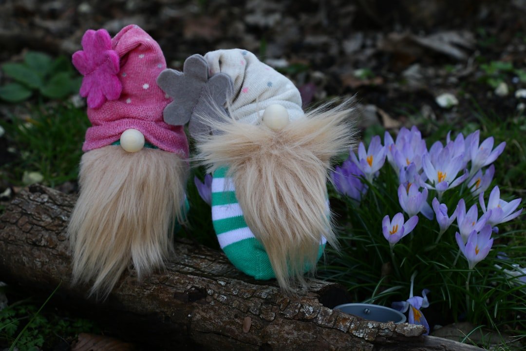 Photo Stuffed blossoms