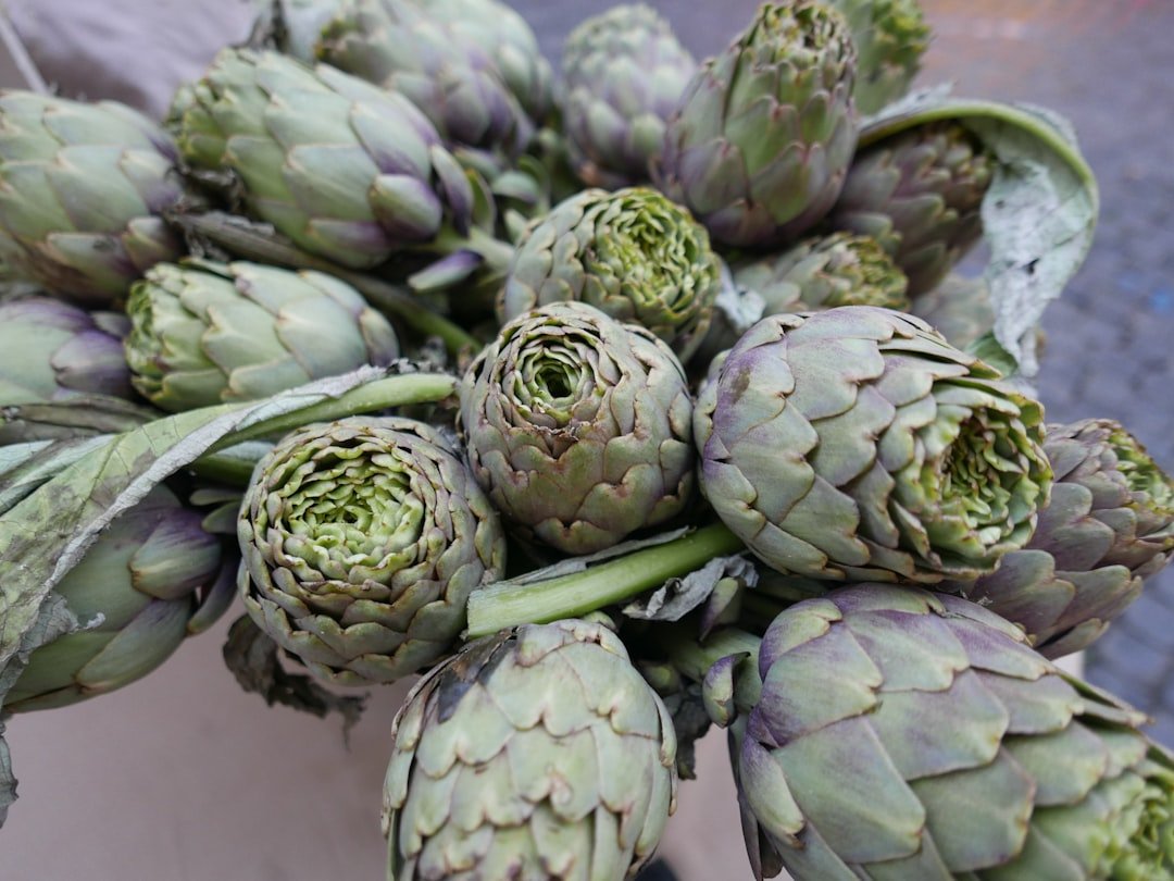 Delicious Artichoke Bottoms: A Trio of Tempting Recipes