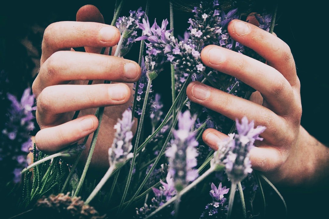 Natural Bruise Relief: Soothing Essential Oil Blend 

Recipe: 
– 3 drops lavender oil
– 2 drops helichrysum oil
– 2 drops chamomile oil
– 2 tsp carrier oil (such as coconut or almond oil)