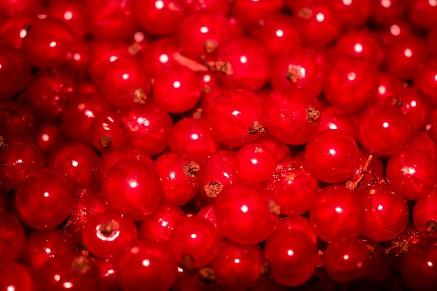 Cranberry Jelly Canning Recipe: A Delicious Holiday Tradition