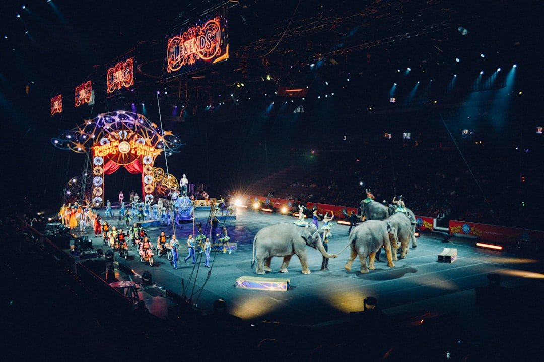 Family-Friendly Fun: Las Vegas Shows for Kids